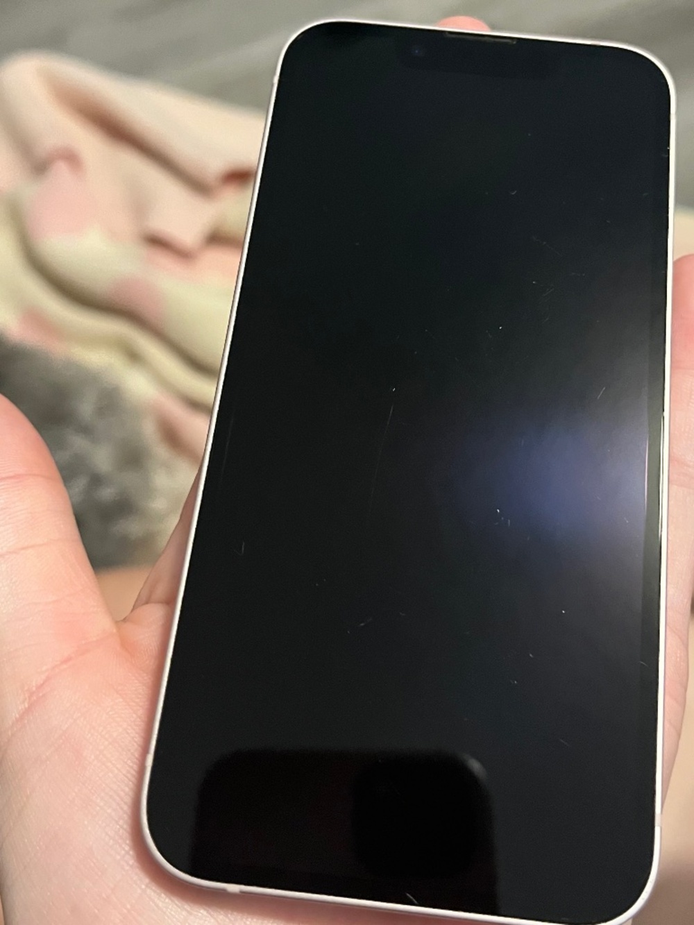 iPhone 13 mini - Picture 1 of 3